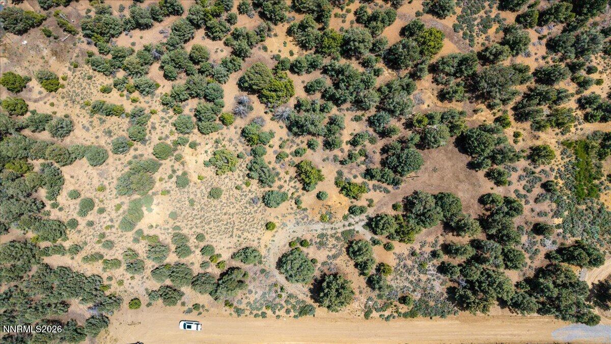 21740 Clemens Road Reno, NV 89521 - Photo 6 of 12 a view of a dry yard