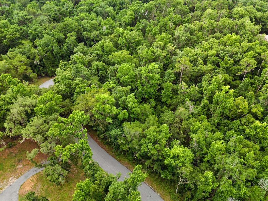 26000 Withrow Road Brooksville, FL 34601 - Photo 17 of 17