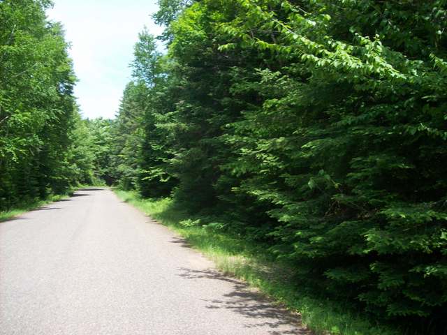 Lot 7 Timber Wolf Road Presque Isle, WI 54557 - Photo 4 of 5 Gallery Image 4