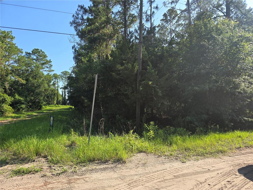 5446 Mango Avenue Bunnell, FL 32110 - Photo 3 of 17