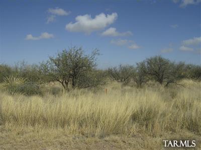 35 Jackrabbit Rd Street, Unit 35 St. David, AZ 85630 - Photo 3 of 5