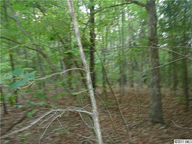 Lot 1 Harkey Road Waxhaw, NC 28173 - Photo 11 of 16 Gallery Image 11