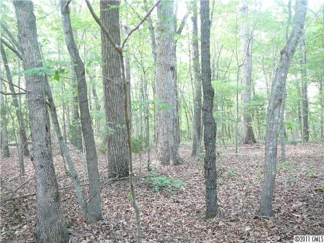 Lot 1 Harkey Road Waxhaw, NC 28173 - Photo 3 of 16 Gallery Image 3