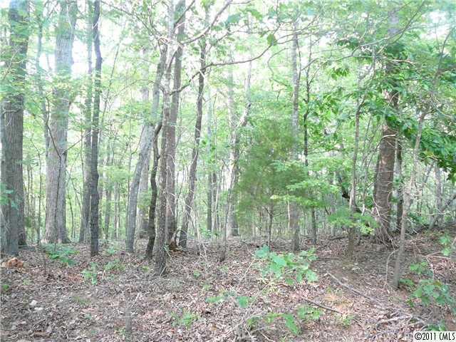 Lot 1 Harkey Road Waxhaw, NC 28173 - Photo 4 of 16 Gallery Image 4