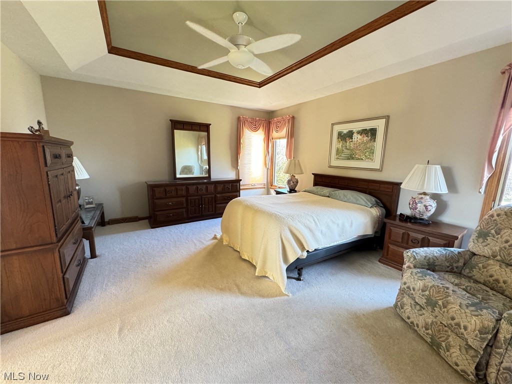 9615 Johnnycake Ridge Road Mentor, OH 44060 - Photo 9 of 35 Primary bedroom with ensuite, ceiling fan, light colored carpet, and a tray ceiling