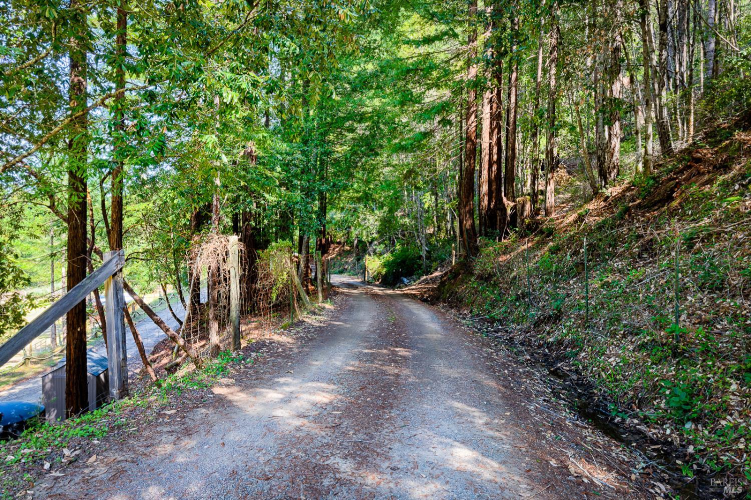 19500 Mountain View Road Boonville, CA 95415 - Photo 62 of 67 a view of a forest with trees