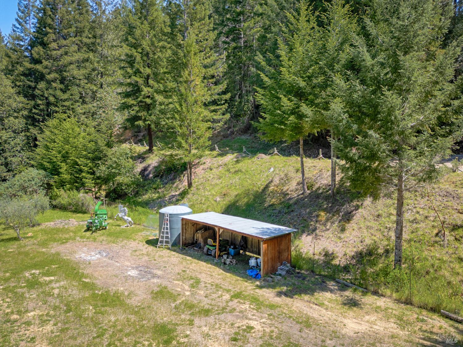 19500 Mountain View Road Boonville, CA 95415 - Photo 65 of 67 a view of a small yard with plants and large trees