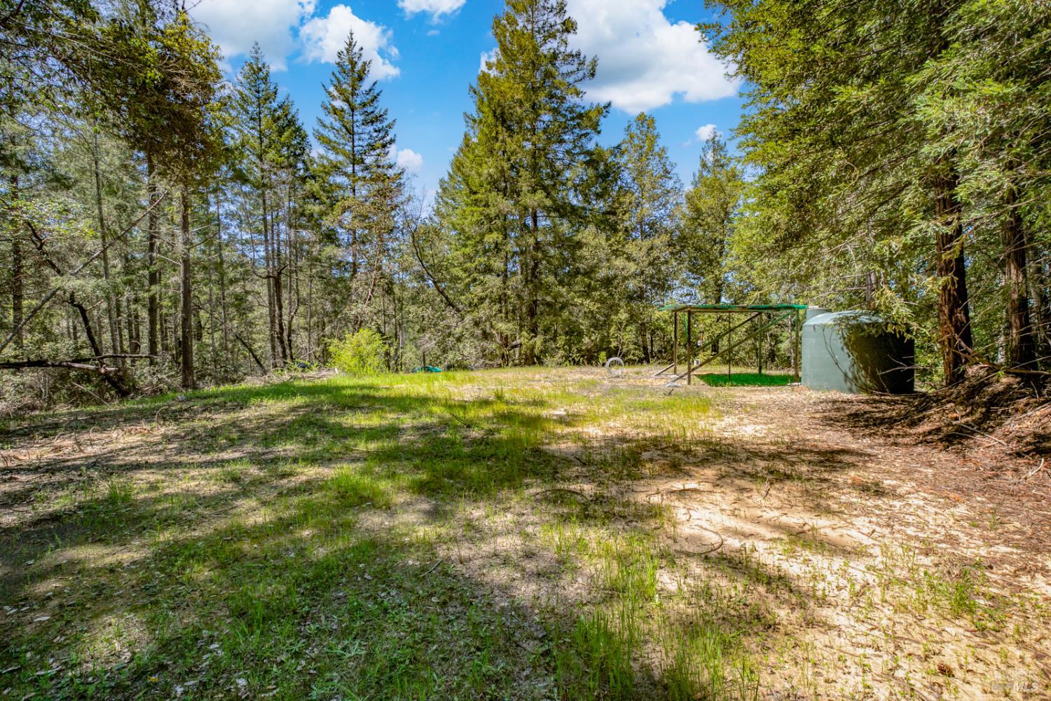 19500 Mountain View Road Boonville, CA 95415 - Photo 67 of 67 a view of outdoor space with trees all around