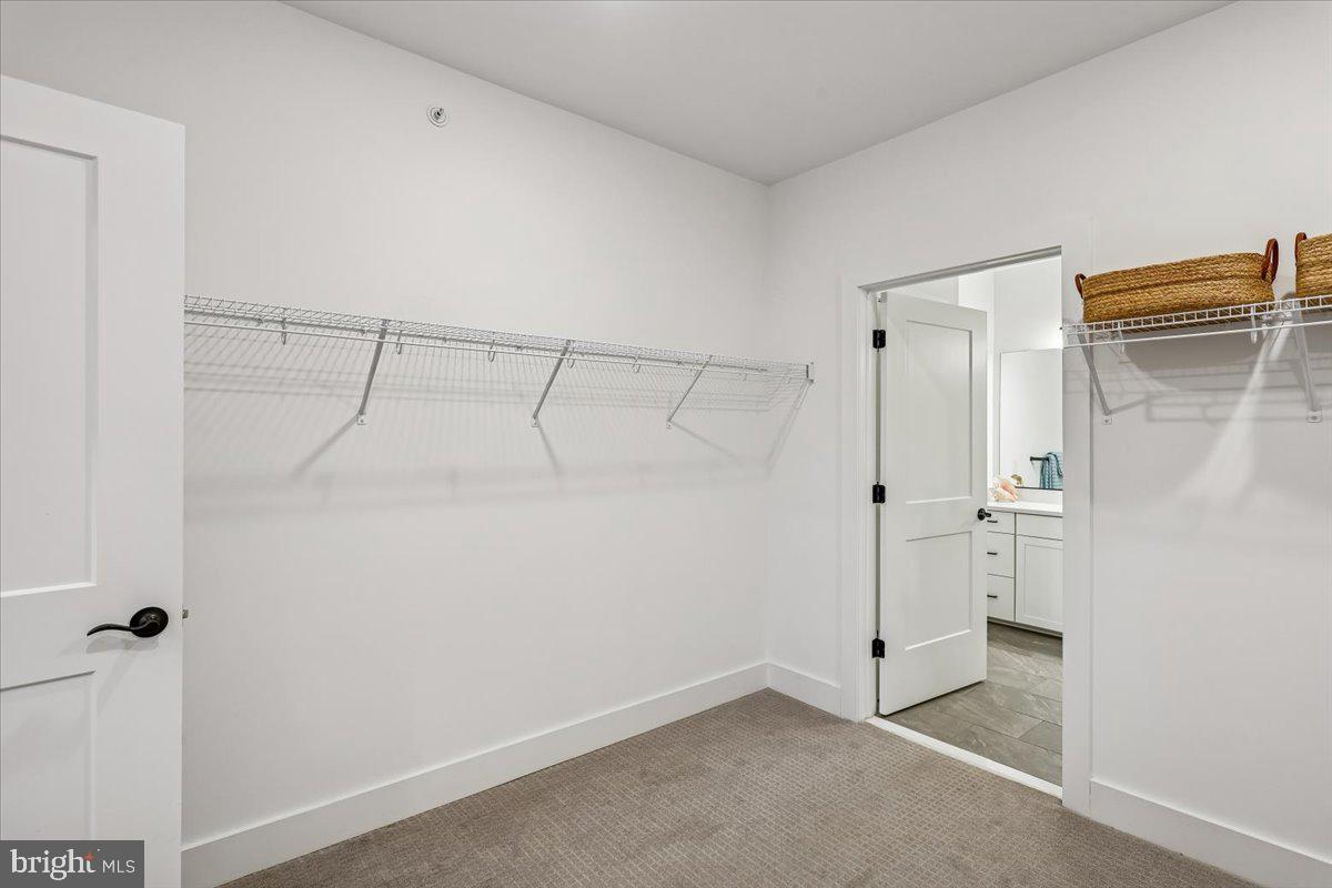 78 Old Mill Bottom Road North, Unit 409 Annapolis, MD 21409 - Photo 24 of 50 Large Primary Closet