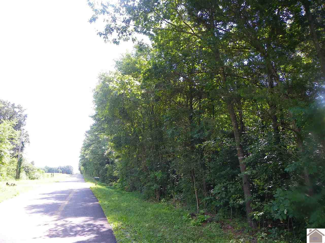 J B Copeland Road Benton, KY 42025 - Photo 1 of 1 Photo 1