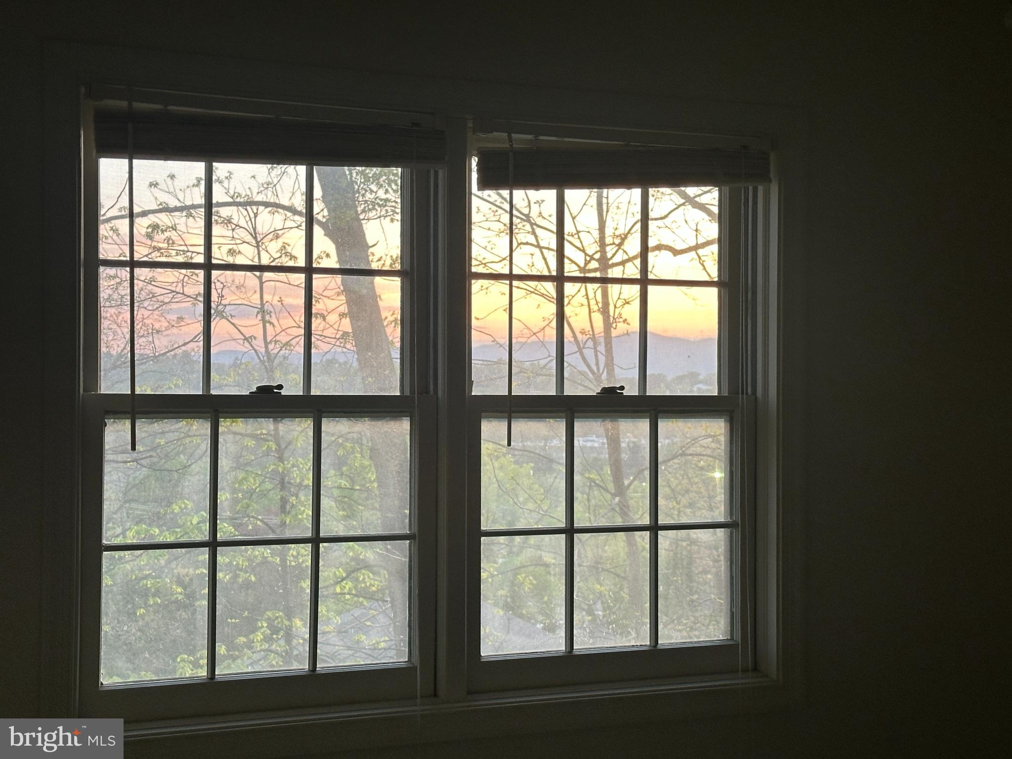 107 Richmond Road Front Royal, VA 22630 - Photo 5 of 75 View from bedroom