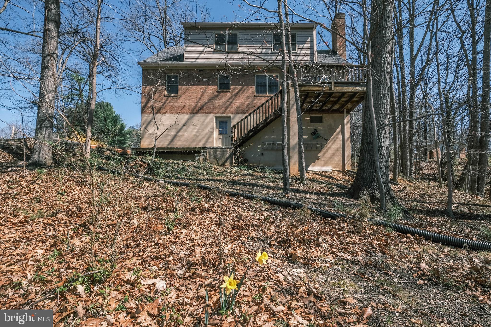 107 Richmond Road Front Royal, VA 22630 - Photo 55 of 75 Rear view--no need to mow!