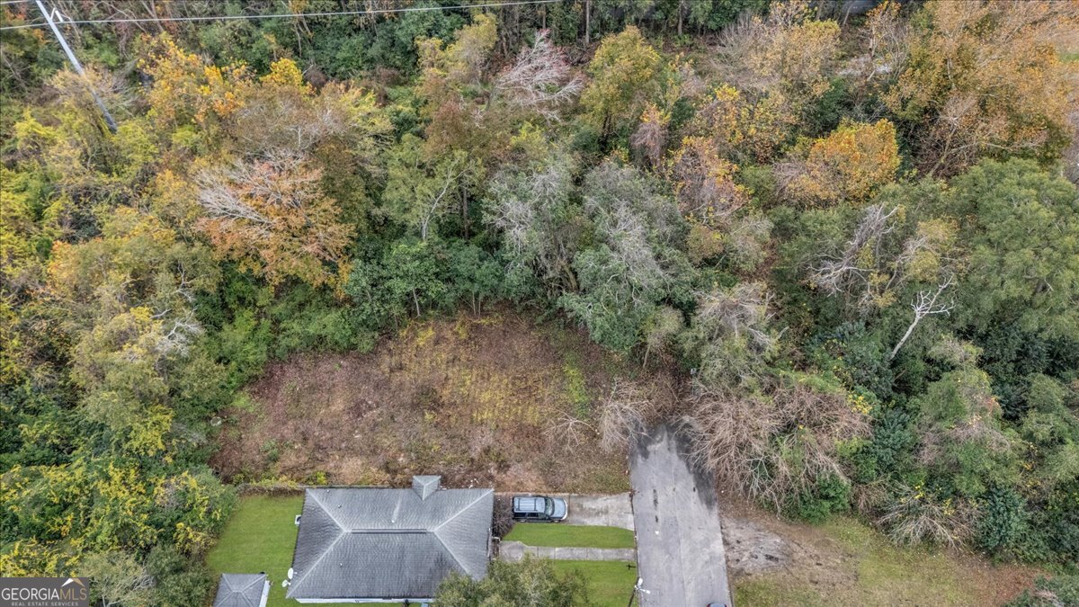0 Mosley Street Savannah, GA 31404 - Photo 16 of 16