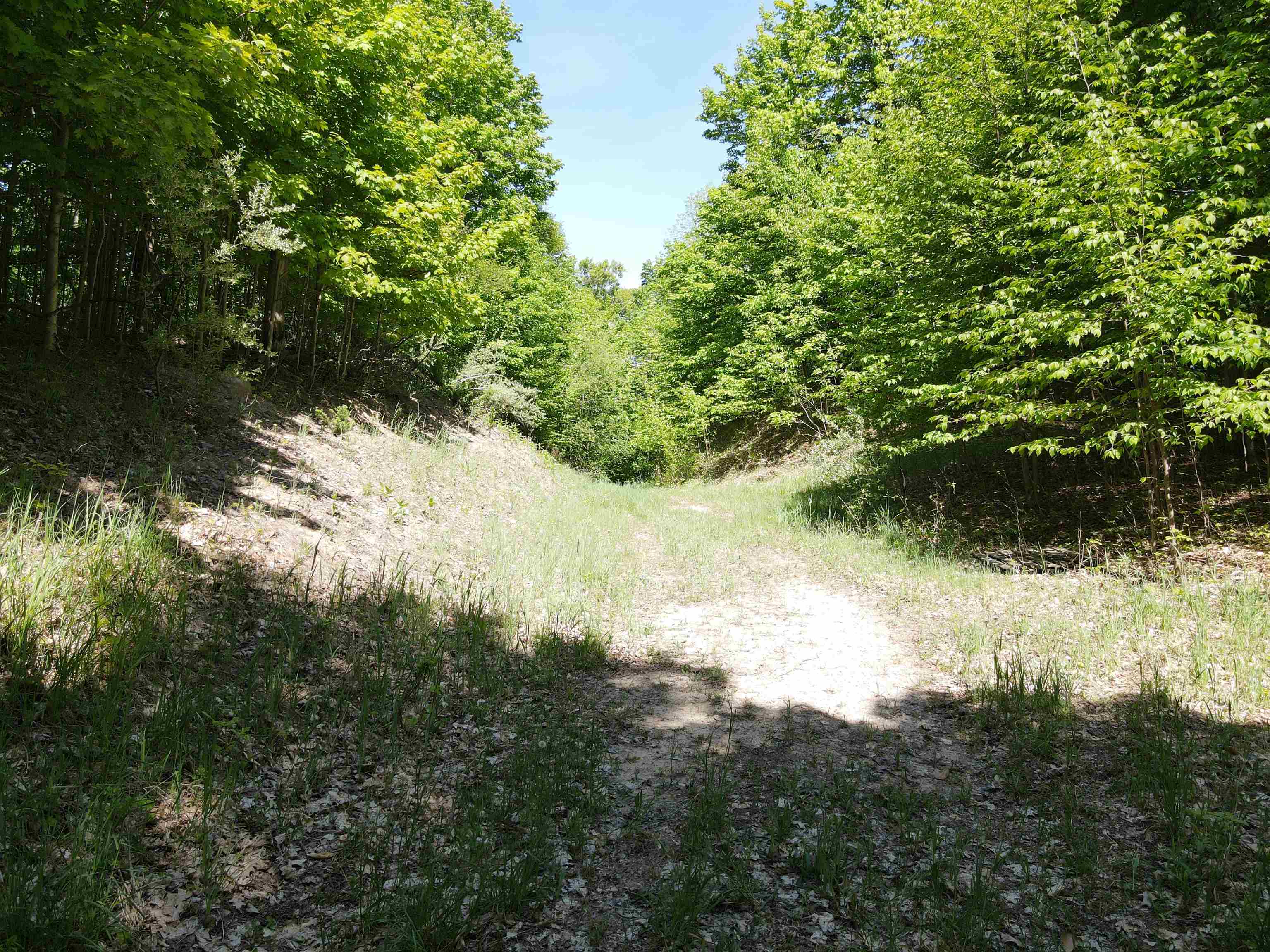 0 South Schomberg Road Cedar, MI 49621 - Photo 7 of 70