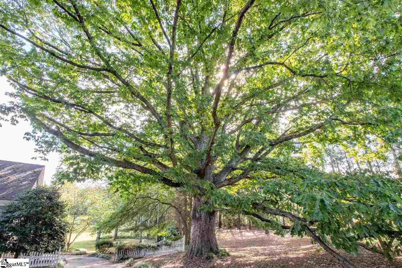 412 Hudson Road Greenville, SC 29615 - Photo 13 of 36 Hundreds of years old!