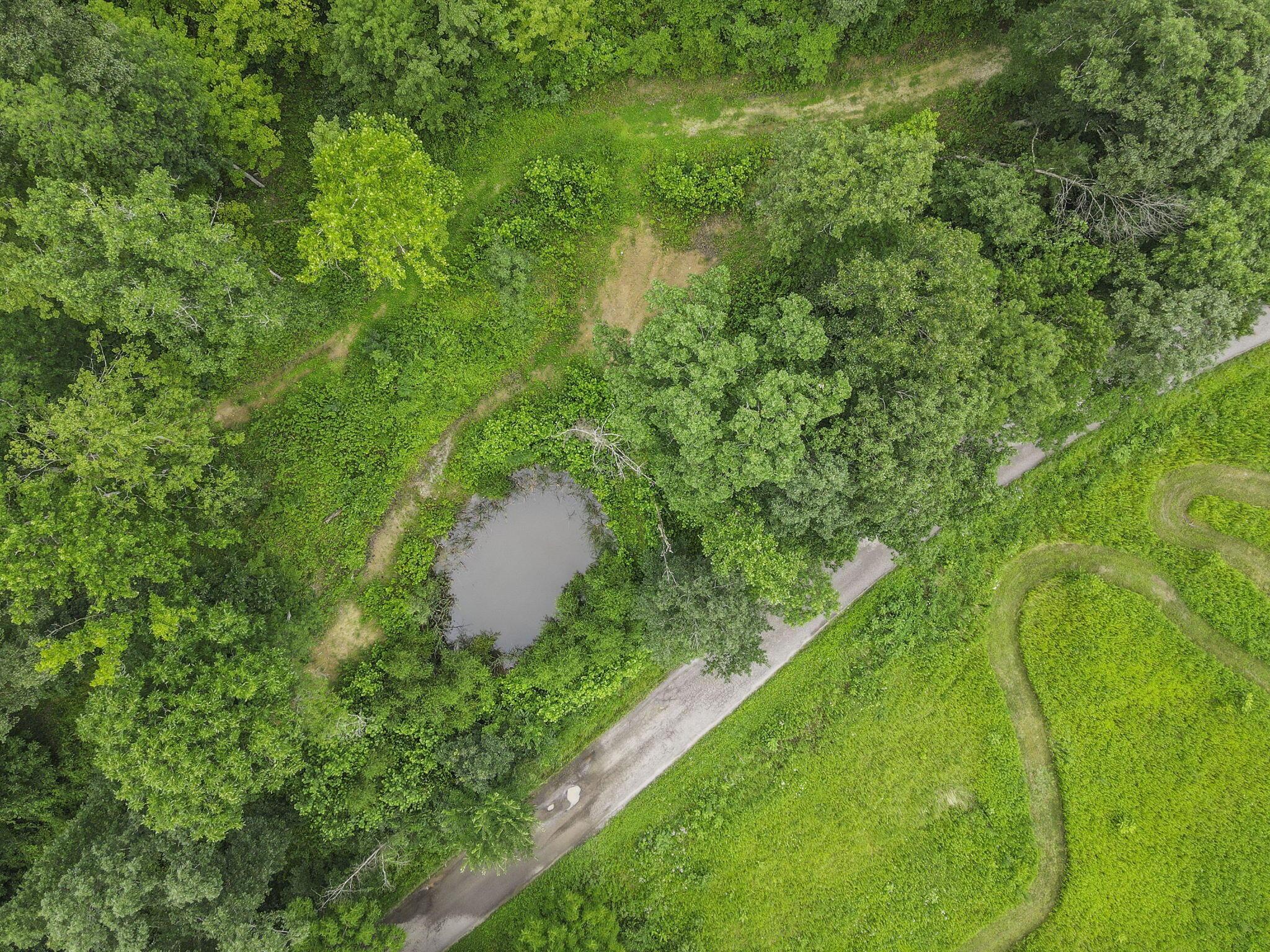 0 Greens Run Road Glouster, OH 45732 - Photo 90 of 121 90-web-or-mls-DJI_0357