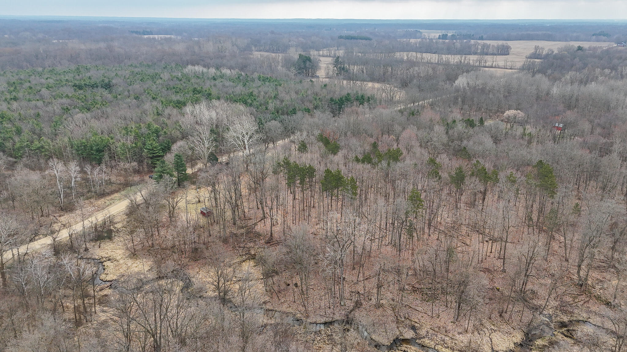 dji_fly_20240304_122552_0110_17095734010