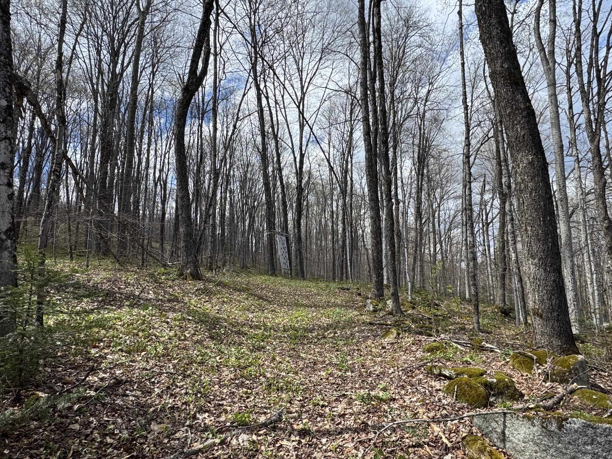 316 Last Road Cabot, VT 05647 - Photo 2 of 26