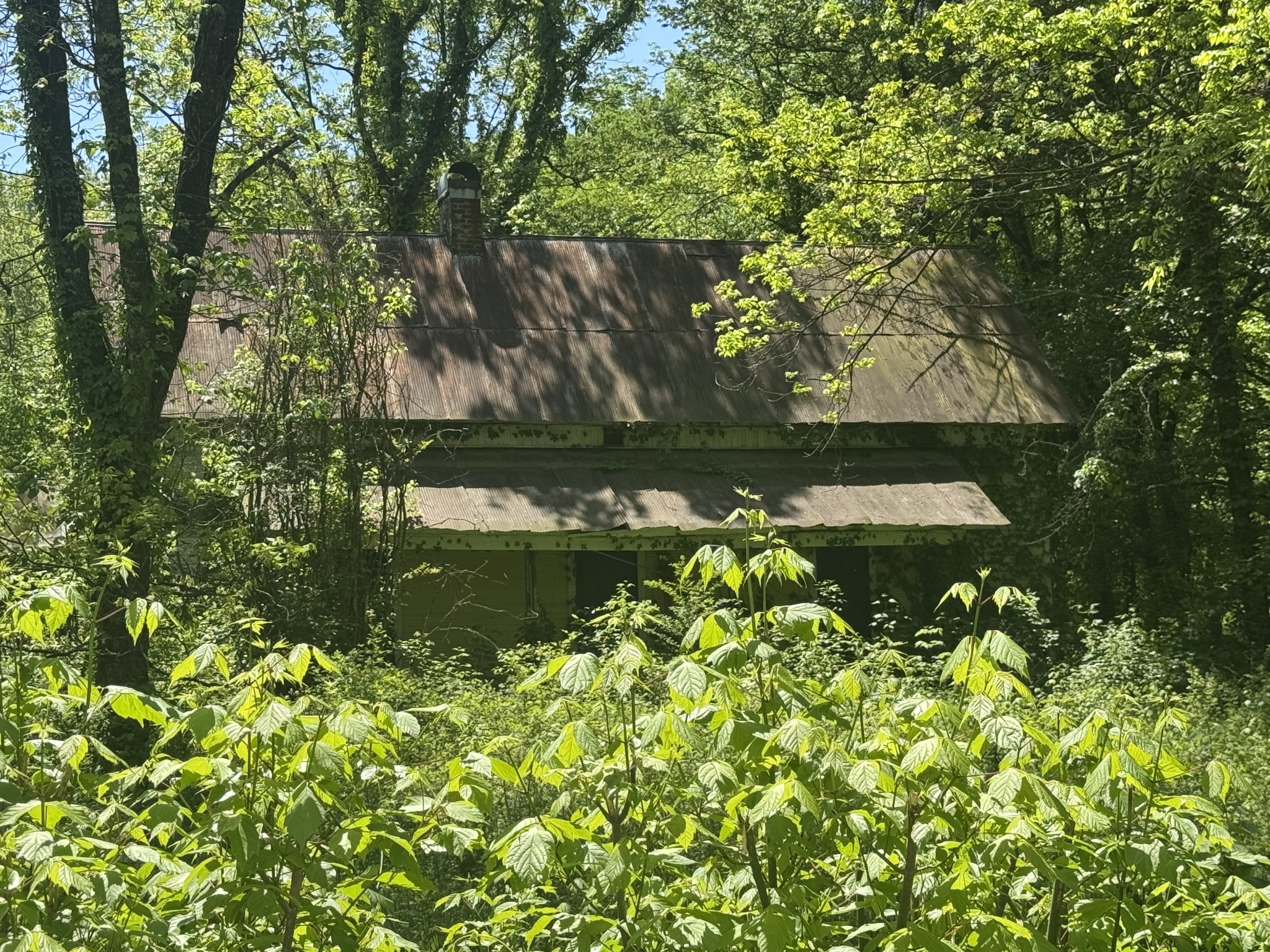 197 Blue Smith Road Petersburg, TN 37144 - Photo 23 of 29 a backyard of a house with lots of green space and lake view