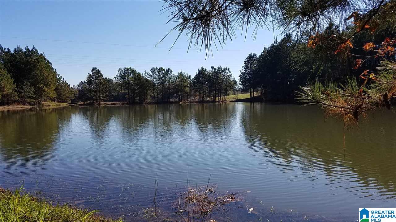 298 Bowerman Road Blountsville, AL 35031 - Photo 1 of 30