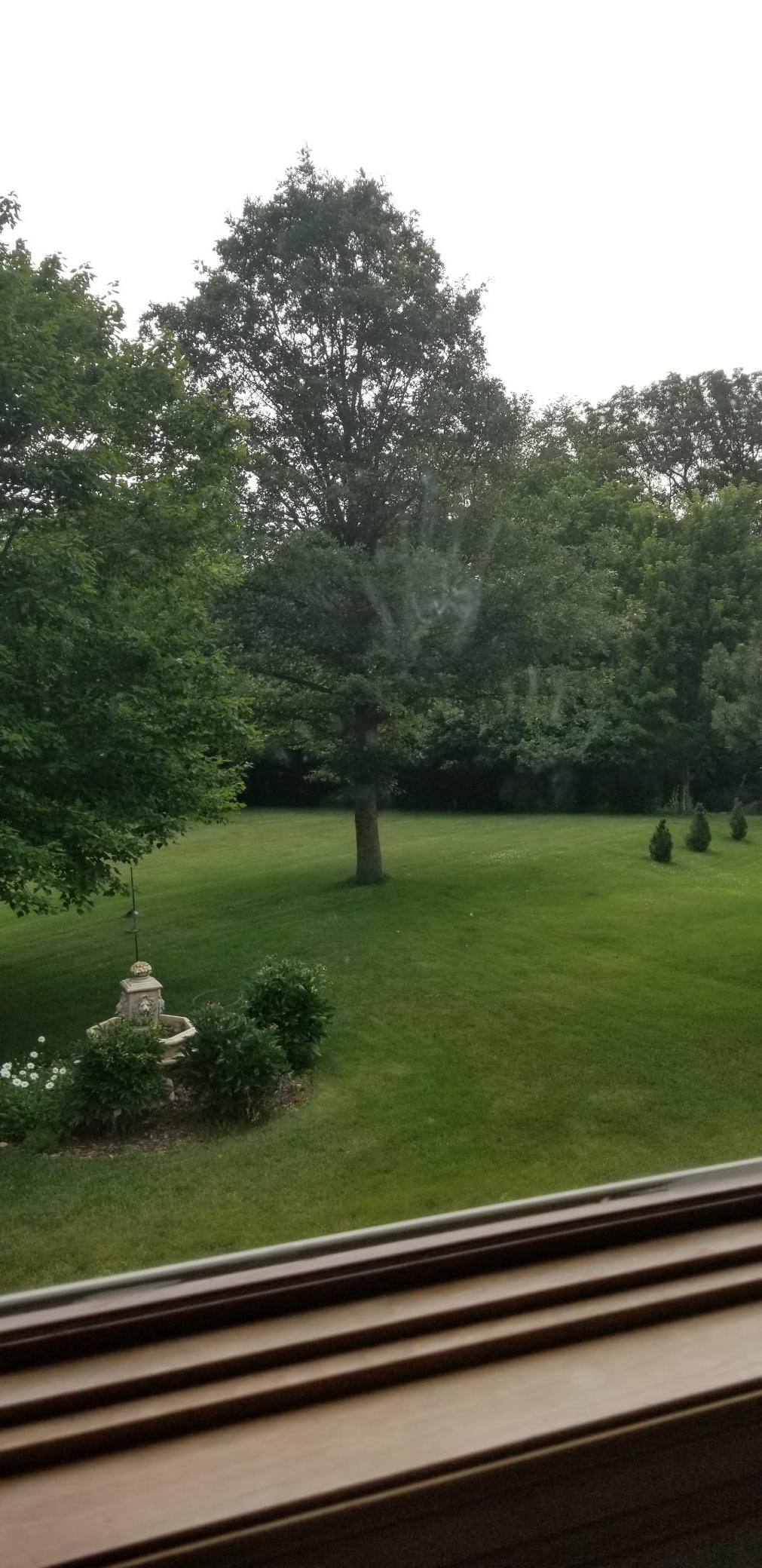 3130 Cassidy Drive Northeast Rochester, MN 55906 - Photo 51 of 51