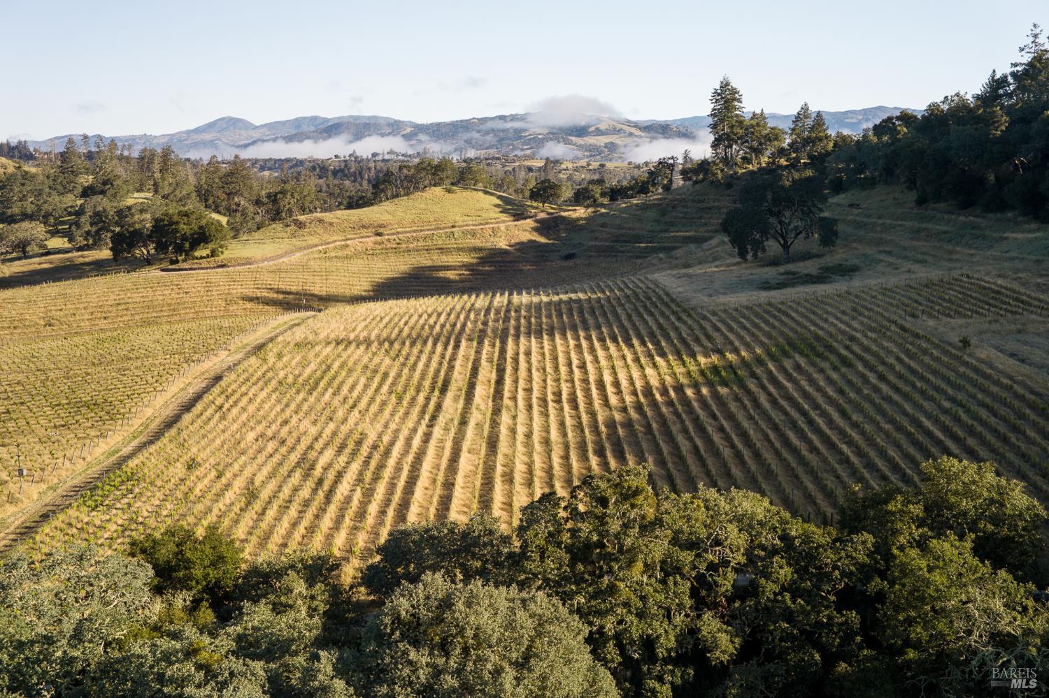 13414 Chalk Hill Road Healdsburg, CA 95448 - Photo 97 of 99