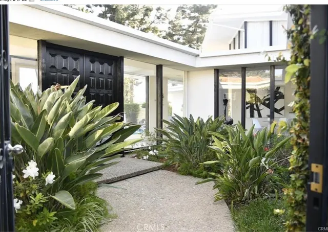 a view of a potted plant in front of a building