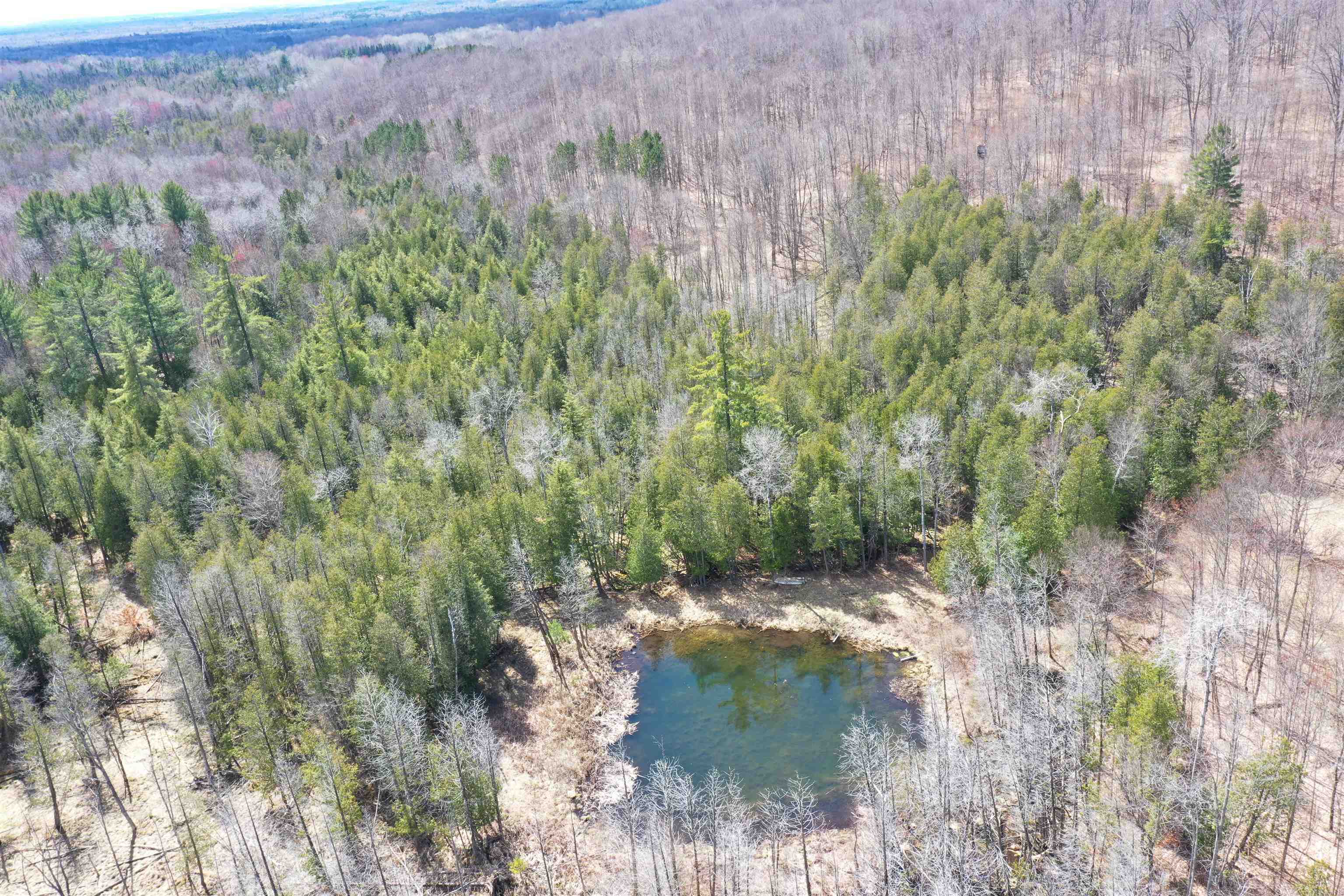 Na Maltby Road Lupton, MI 48635 - Photo 1 of 30