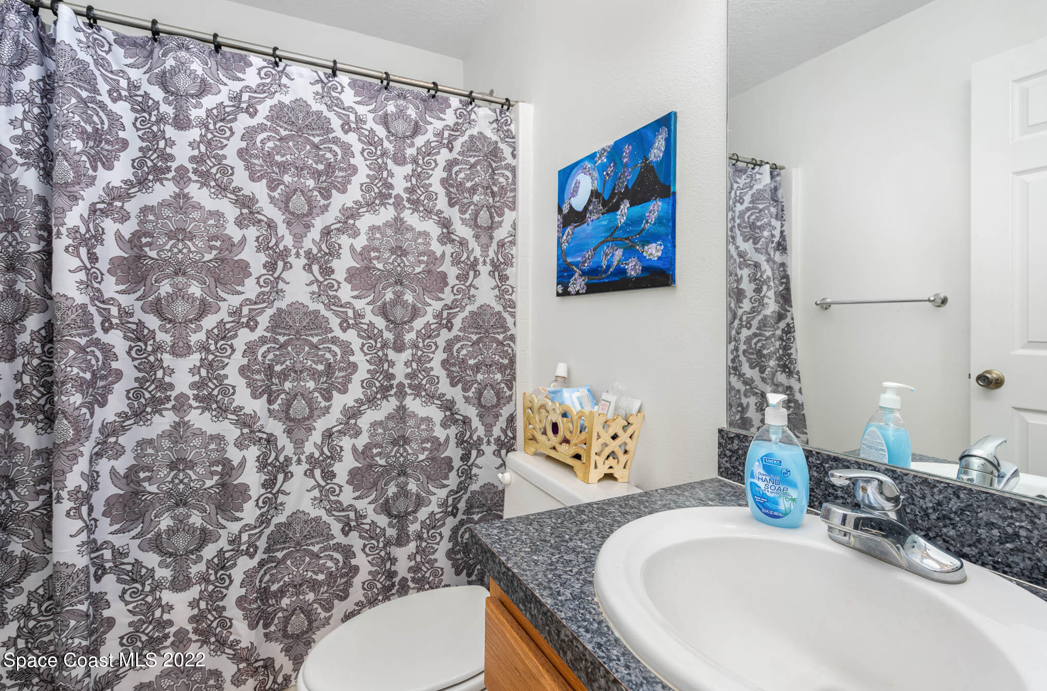 1247 Van Tassel Trail Palm Bay, FL 32905 - Photo 19 of 31 a bathroom with a sink a toilet and a mirror