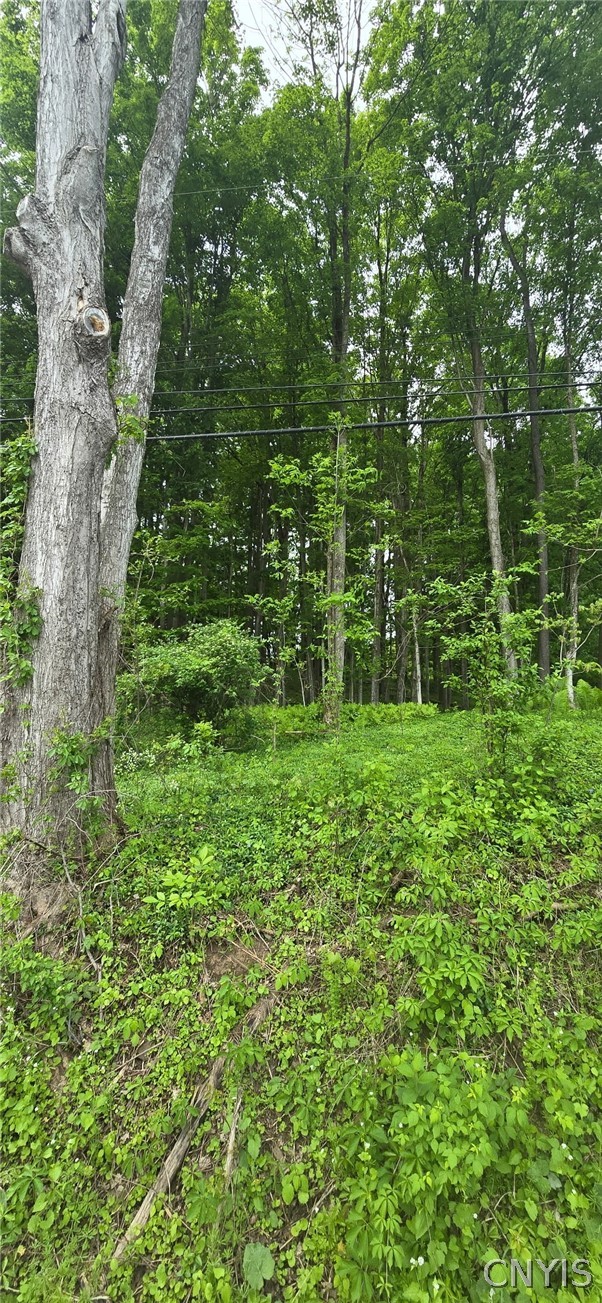 Saunders Road Clinton, NY 13323 - Photo 9 of 11