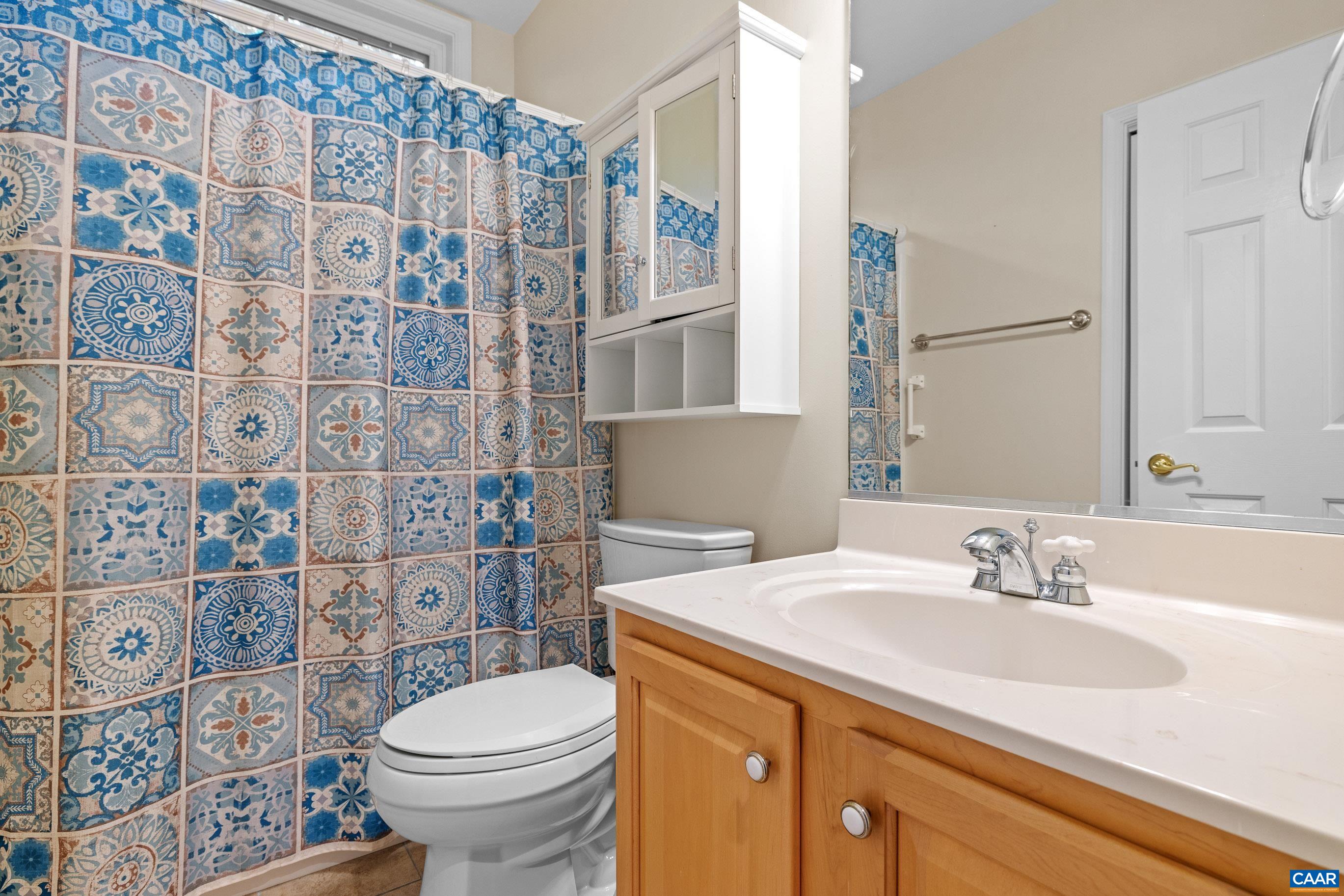 34 Zephyr Road Palmyra, VA 22963 - Photo 36 of 38 a bathroom with a sink toilet and shower
