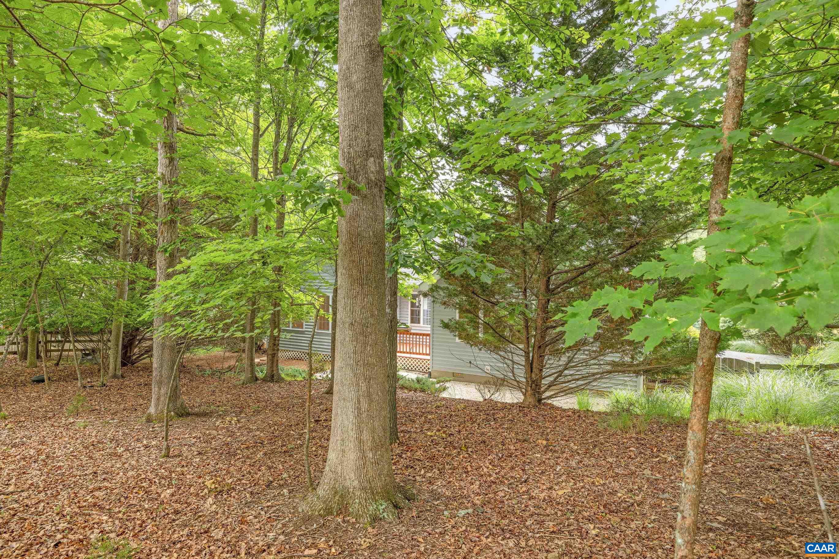 34 Zephyr Road Palmyra, VA 22963 - Photo 5 of 38 a view of a tree in the backyard of a house