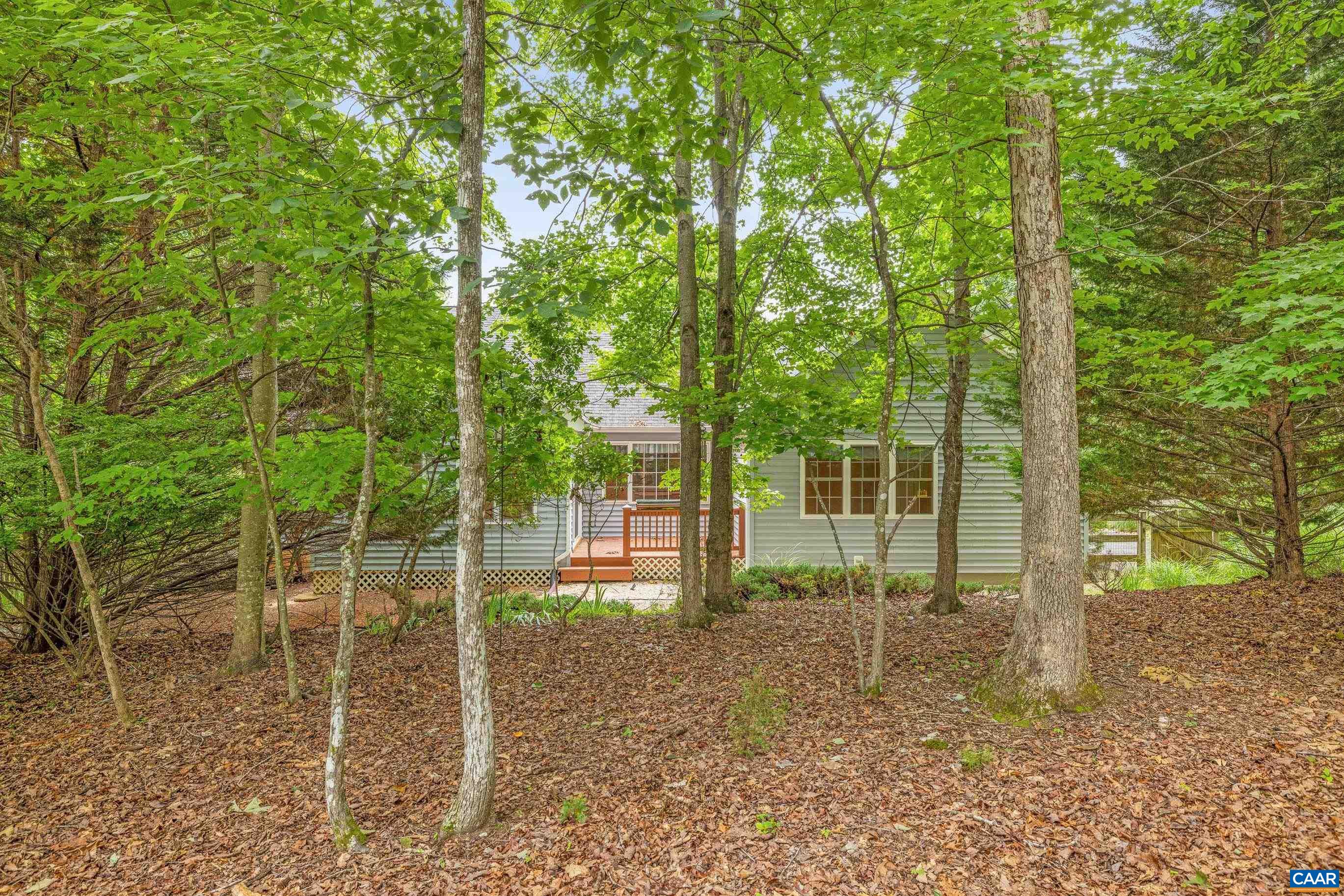 34 Zephyr Road Palmyra, VA 22963 - Photo 6 of 38 a backyard of a house with lots of plants and large trees