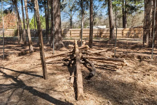 a view of a yard with trees