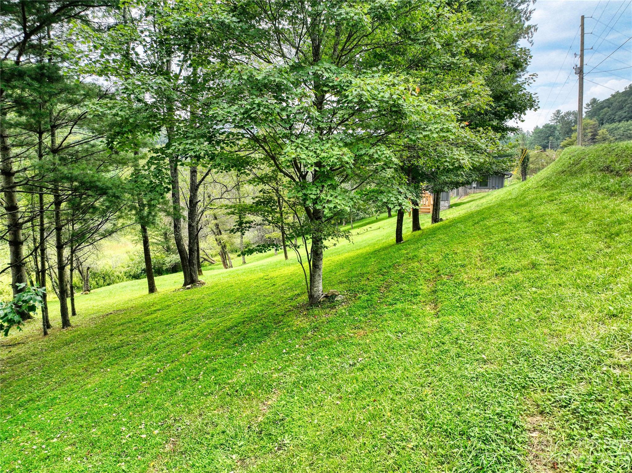 3765 Bald Mountain Road, Unit 2 West Jefferson, NC 28694 - Photo 24 of 35 a big yard with lots of green space and trees