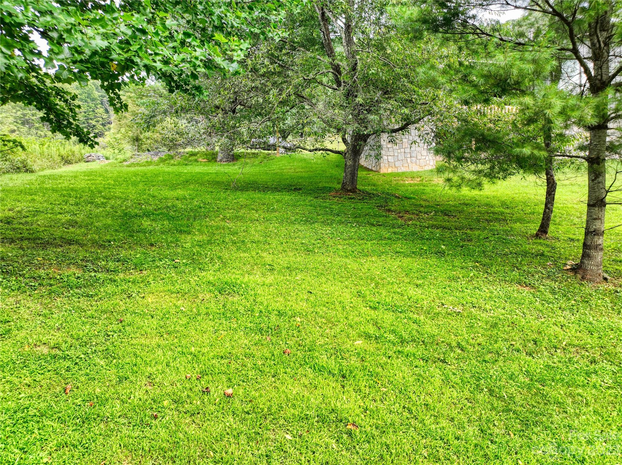 3765 Bald Mountain Road, Unit 2 West Jefferson, NC 28694 - Photo 6 of 35 a view of yard with trees