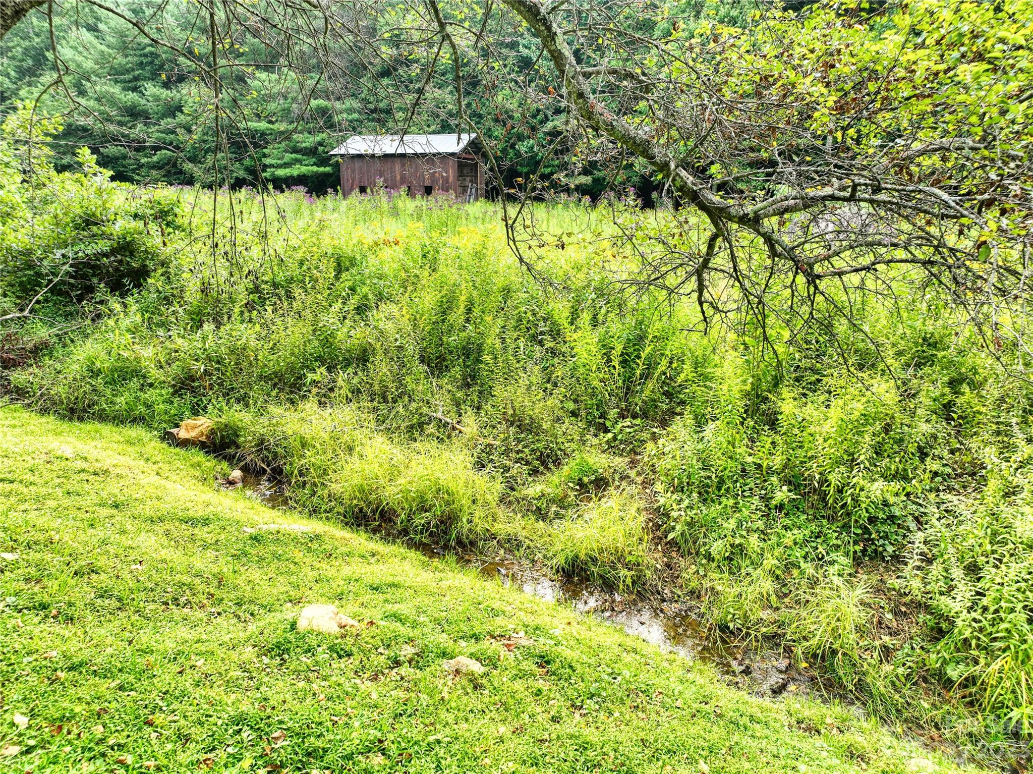 3765 Bald Mountain Road, Unit 2 West Jefferson, NC 28694 - Photo 7 of 35 a view of swimming pool from a yard