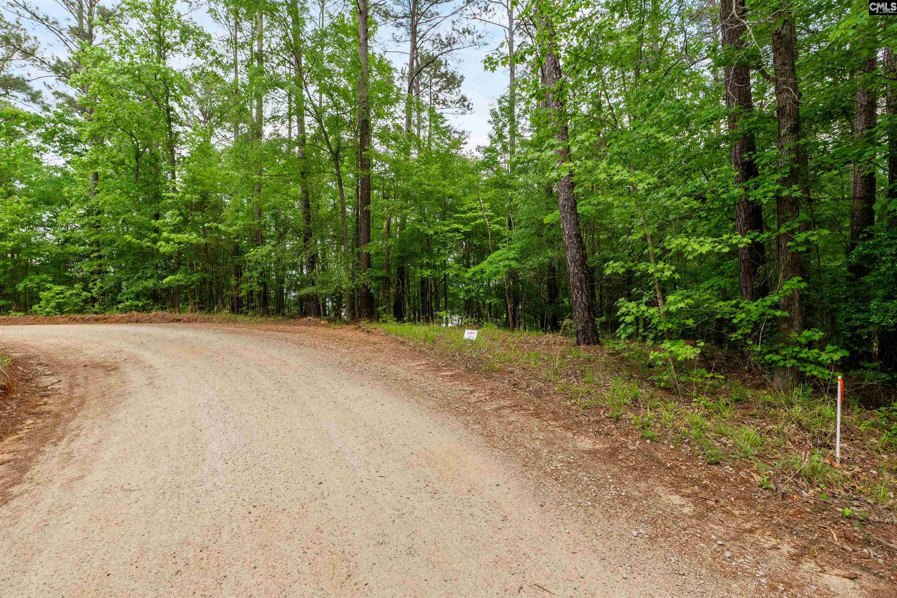 1427-1 Buck Hill Landing Road Ridgeway, SC 29130 - Photo 4 of 17