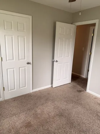 a view of a large yard with large trees