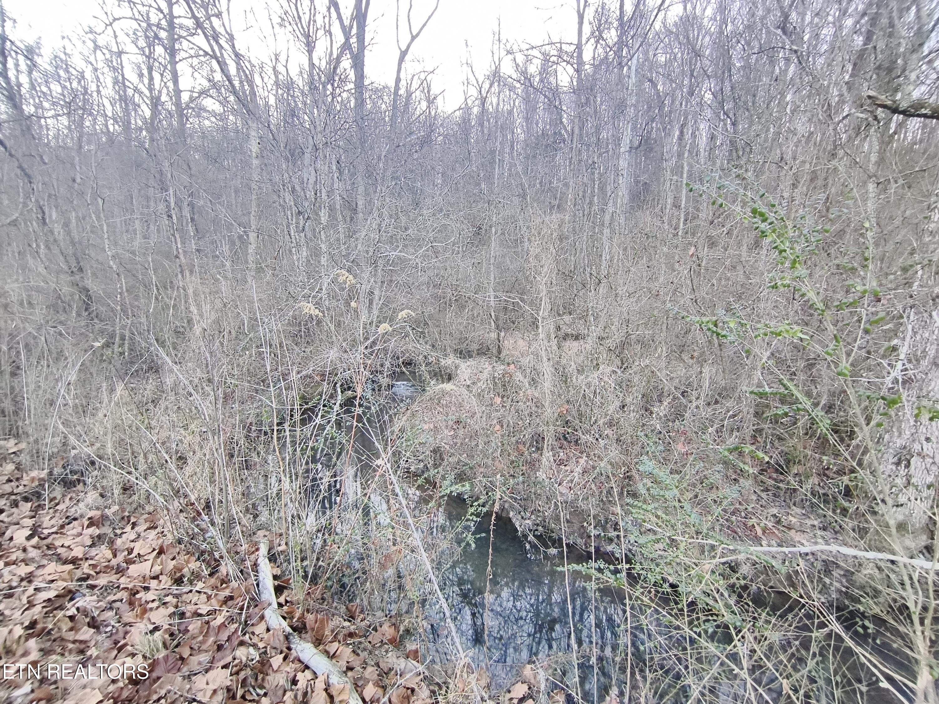 1152 Rifle Range Drive Knoxville, TN 37912 - Photo 6 of 6 IMG_20260115_080456