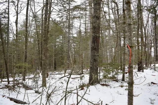 $27,500 | 3-25 Granite Rock Circle North, Surry, ME 04684