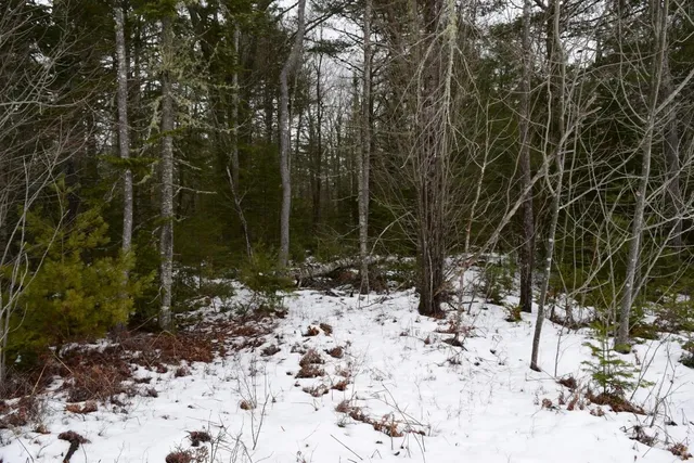 $27,500 | 3-25 Granite Rock Circle North, Surry, ME 04684