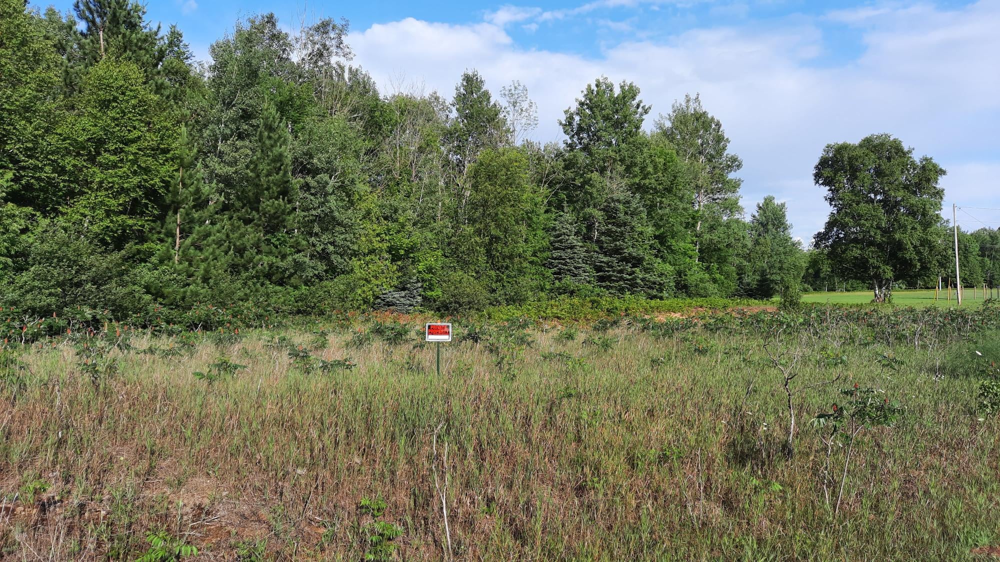 Spruce Road Ossineke, MI 49766 - Photo 3 of 10 Gallery Image 3