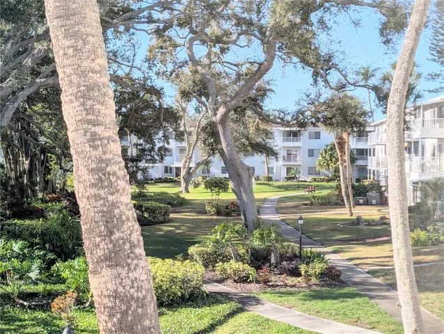 a view of a garden with a tree