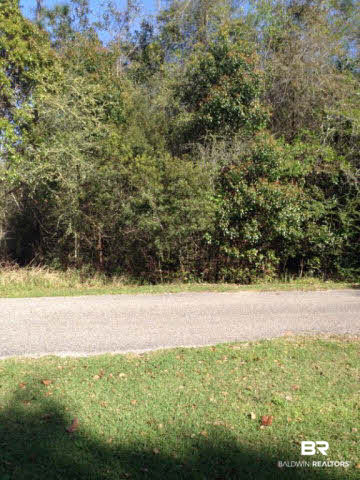0 Ginkle Road South Irvington, AL 36544 - Photo 3 of 6