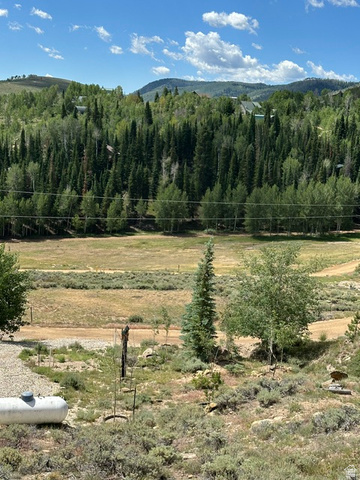 1085 West Elk Road Helper, UT 84526 - Photo 26 of 40 Expansive natural landscape featuring rolling hills and abundant evergreen trees