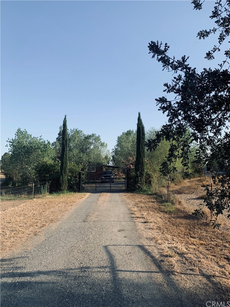 24885 Foster Road Corning, CA 96021 - Photo 1 of 1 a view of a yard with trees in the background