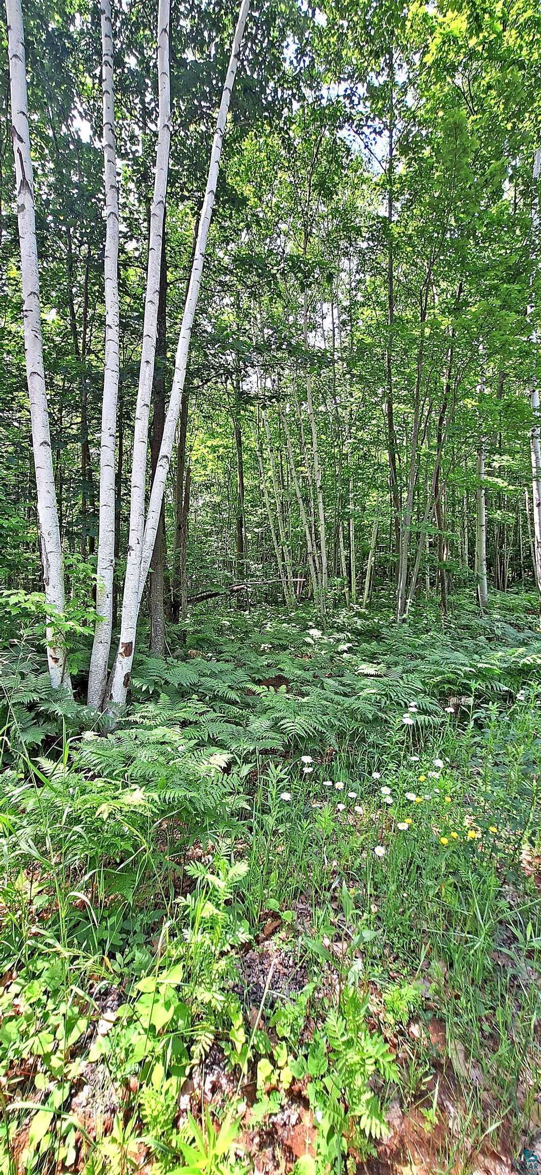 Xxx Apple Hill Road Bayfield, WI 54814 - Photo 12 of 18 Gallery Image 12