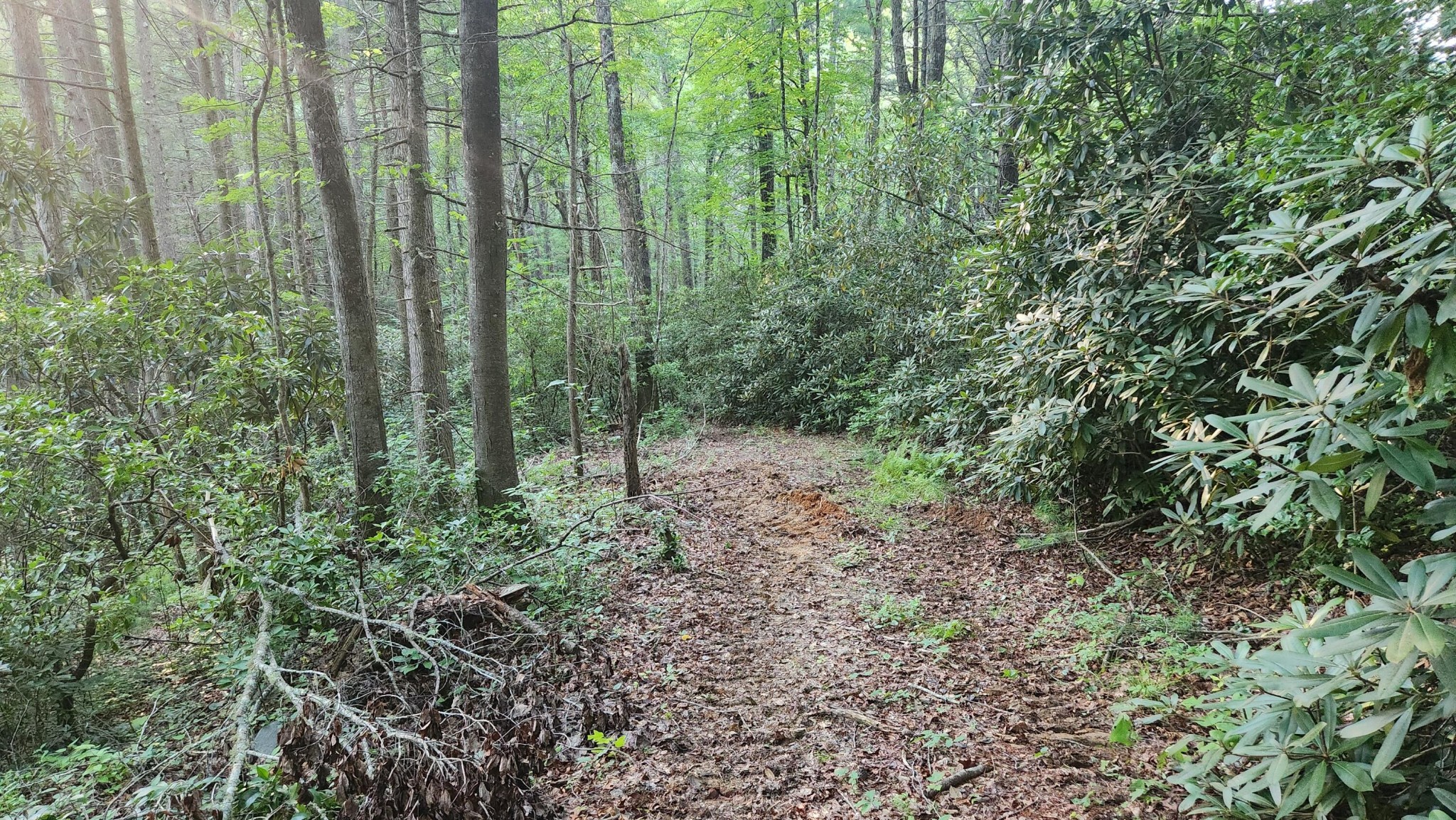 0 Tumbling Creek Road Copperhill, TN 37317 - Photo 22 of 62