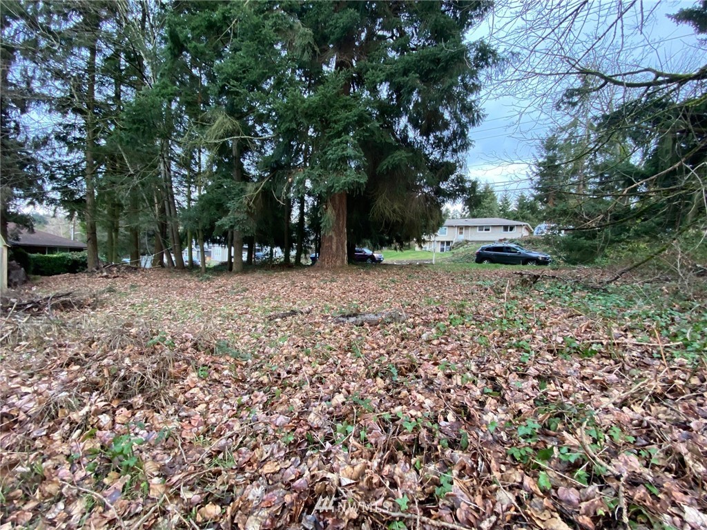 19809 Talbot Road South Renton, WA 98055 - Photo 5 of 10